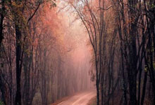 开云APP-体育双重奏，德甲争冠白热化，马刺绝杀灰熊引爆NBA赛场